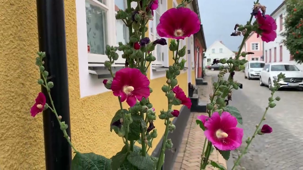 Simrishamn, Skåne Sverige