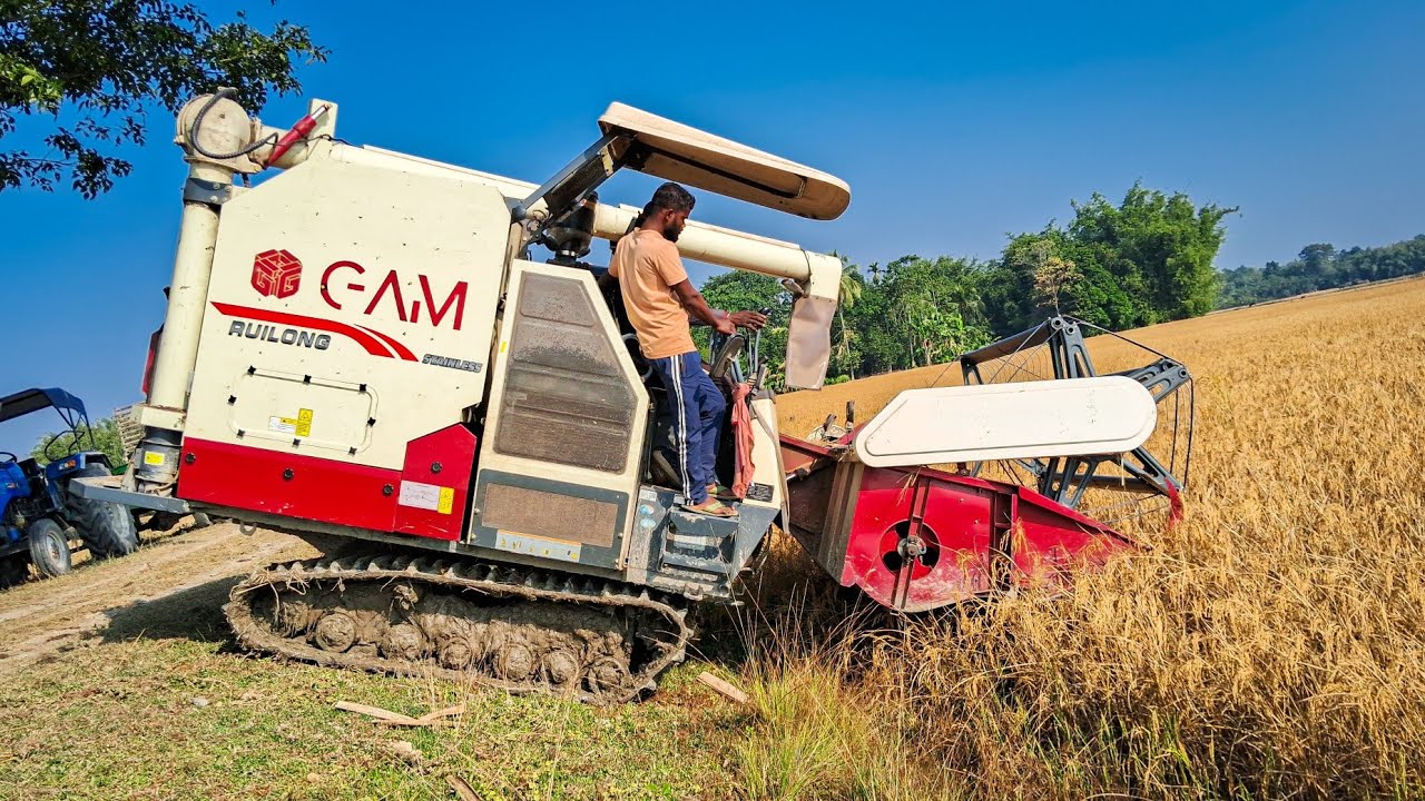 New Model 2025 GAM Ruilong Paddy Harvester Machine performance