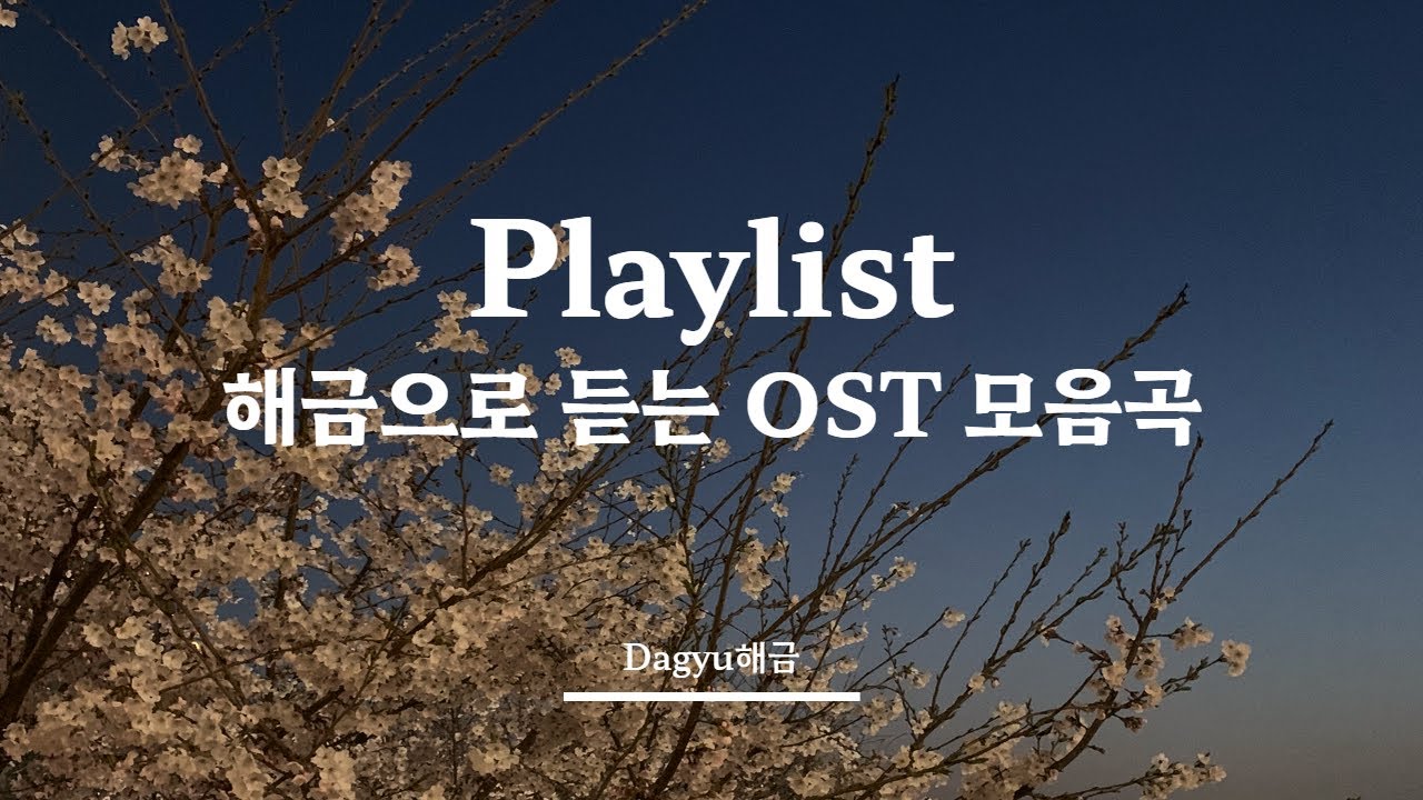 [Playlist] 해금으로 듣는 OST 음악 | 드라마, 영화 OST | Dagyu해금 연주