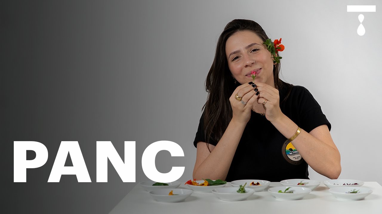 LIZ PROVA PANCs 🌱(Plantas Aliment&iacute;cias N&atilde;o Convencionais)