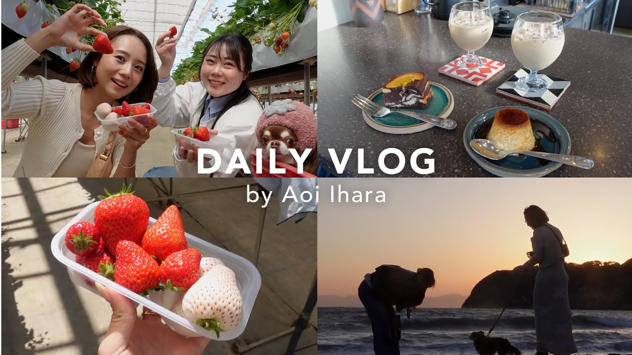 【休日Vlog】親友と愛犬と過ごした1日の様子🍓🏖️いちご狩り / ドライブ / カフェ / コーデ紹介