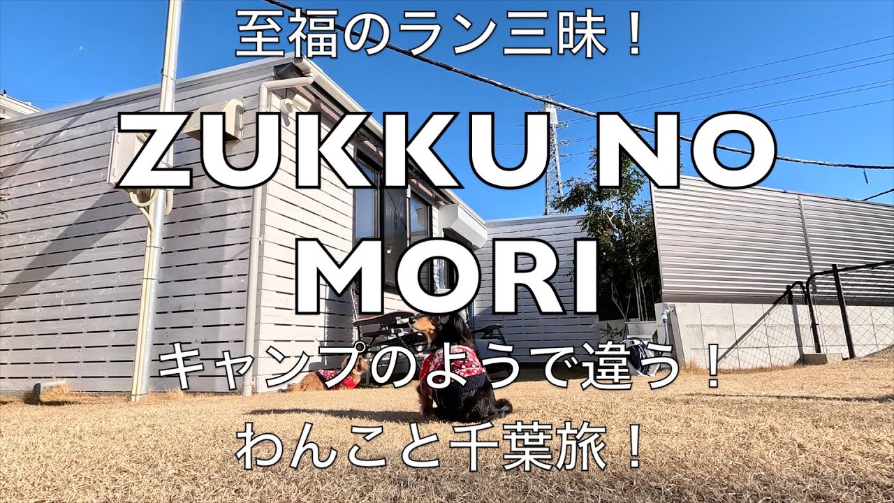 ２０２３.１２月pre Openのお宿！ZUKKU NO MORIさんへ！わんこお泊まり代なし！豪華なロッジな感じでした！【元保護犬】【元里犬】道の駅多古！【わんことお泊まり】【道の駅めぐり】