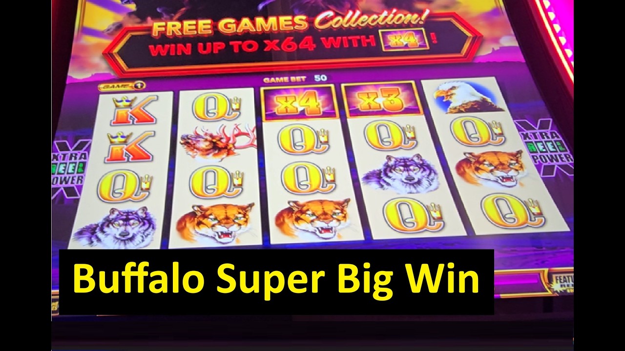 Super Big Win on Buffalo Wonder 4 Collection Slot! Aristocrat Game