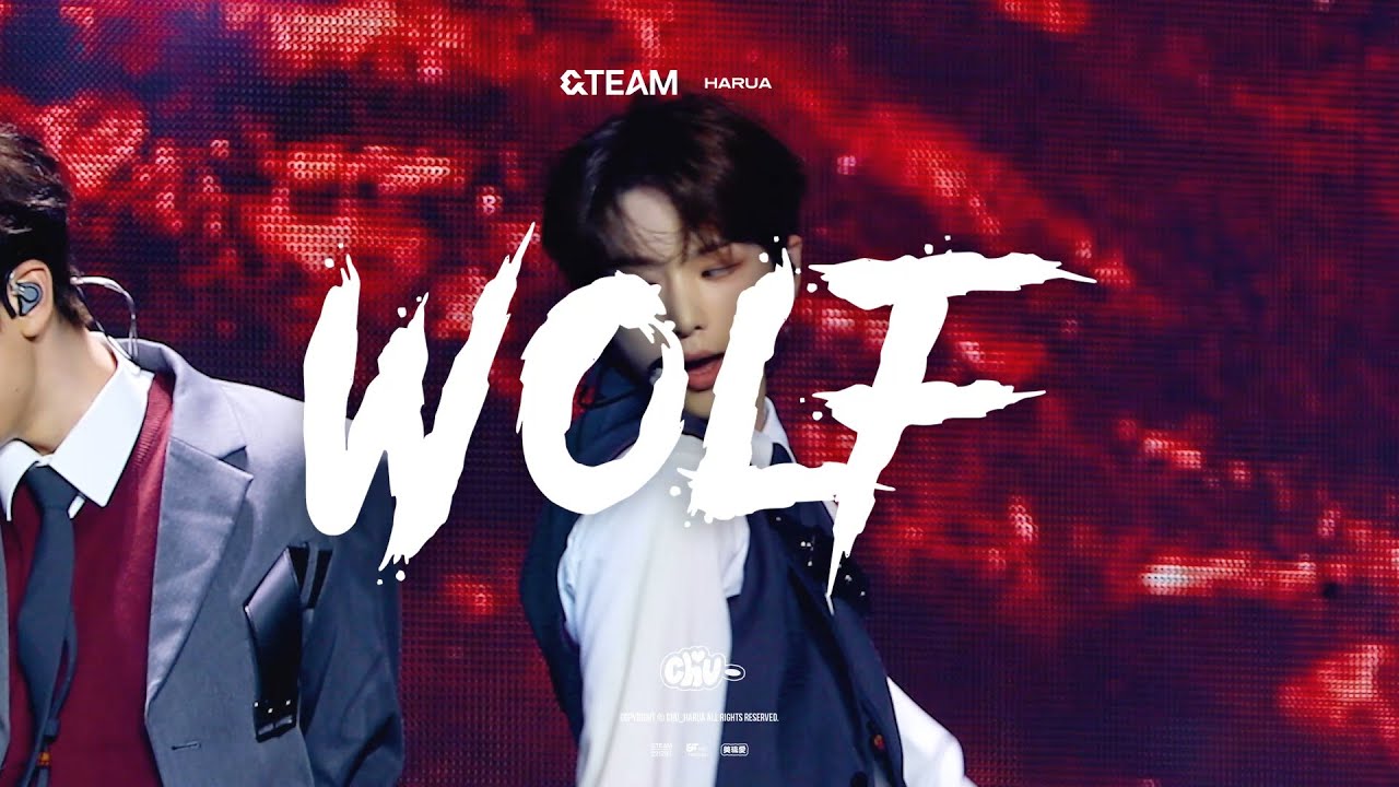 240615 WEVERSE CONCERT W.O.L.F &TEAM HARUA 앤팀 하루아 FOCUS FANCAM