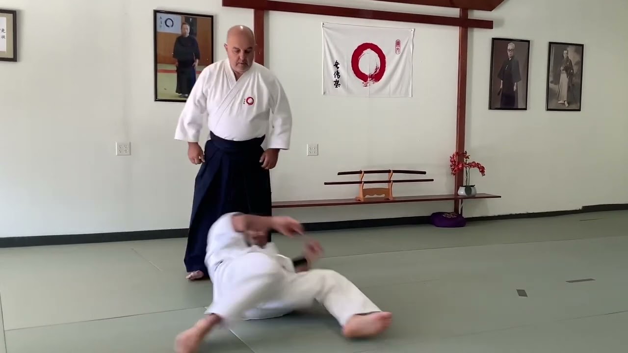 Aiki  Demonstration & Explanation