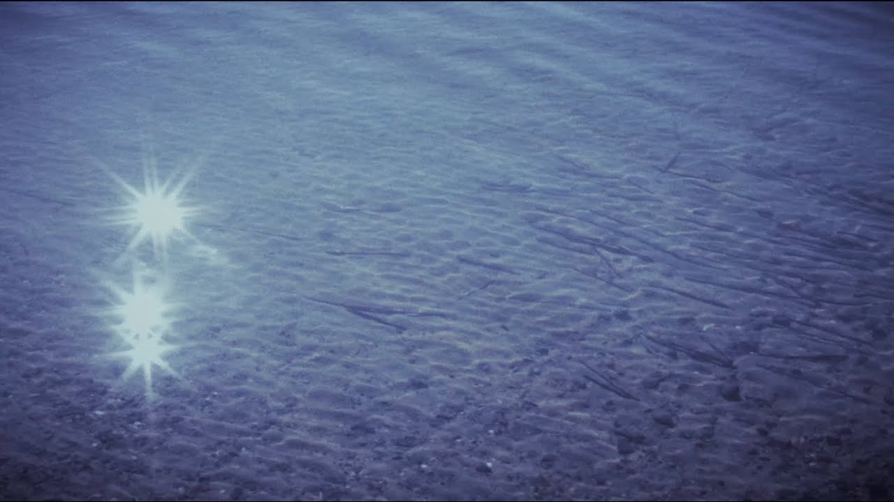 Peter Baumann - A World Apart (Official Video)