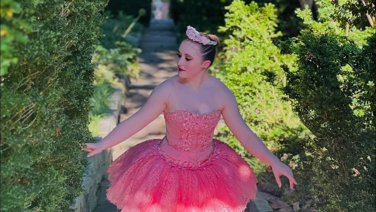 A Day In The Life: Ballet Company Show Weekend Storybook Series