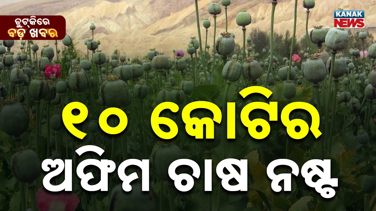 Chutkire Bada Khabar || 7th MARCH 2026 || 2PM Digital Bulletin || Kanak News