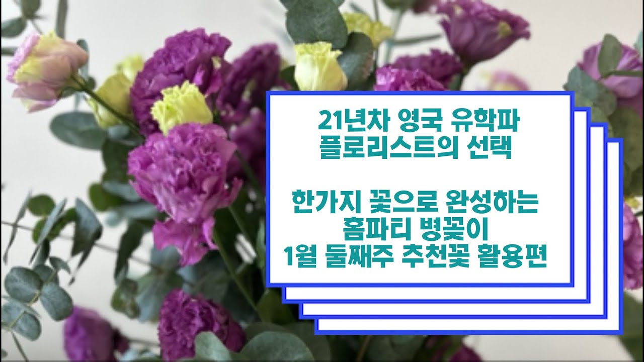 ❣️한가지 꽃으로 완성하는 홈파티 병꽂이_ 1월 둘째주 추천꽃 활용편 One-Flower Vase | Home Party Style ❣️