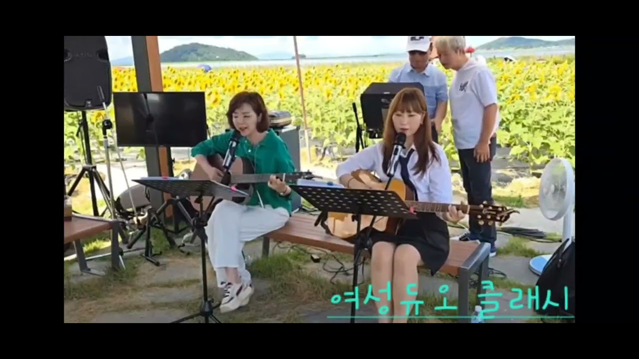 교동 해바라기축제 [ 문어의 꿈 ]  - #화개정원  #조양방직  #하바라기축제