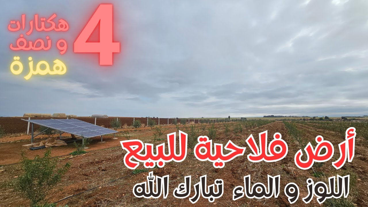 ✨عرض متميز 4 هكتارات و نصف مجهزة و همزة نواحي مكناس مشروع للإستثمار الفلاحي ✨