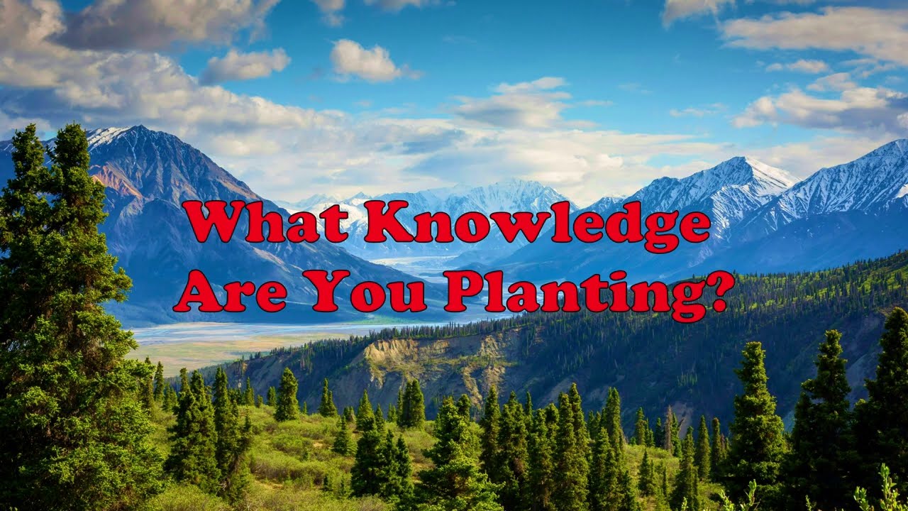 What Knowledge Are You Planting? | Best Reggae Gospel Life changing music