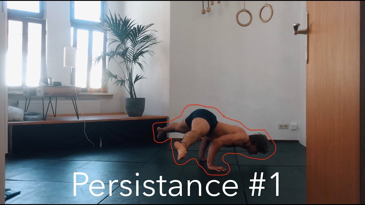 Persistence #1 &ndash;&nbsp;Macaco-90&deg;Pushup-QDR