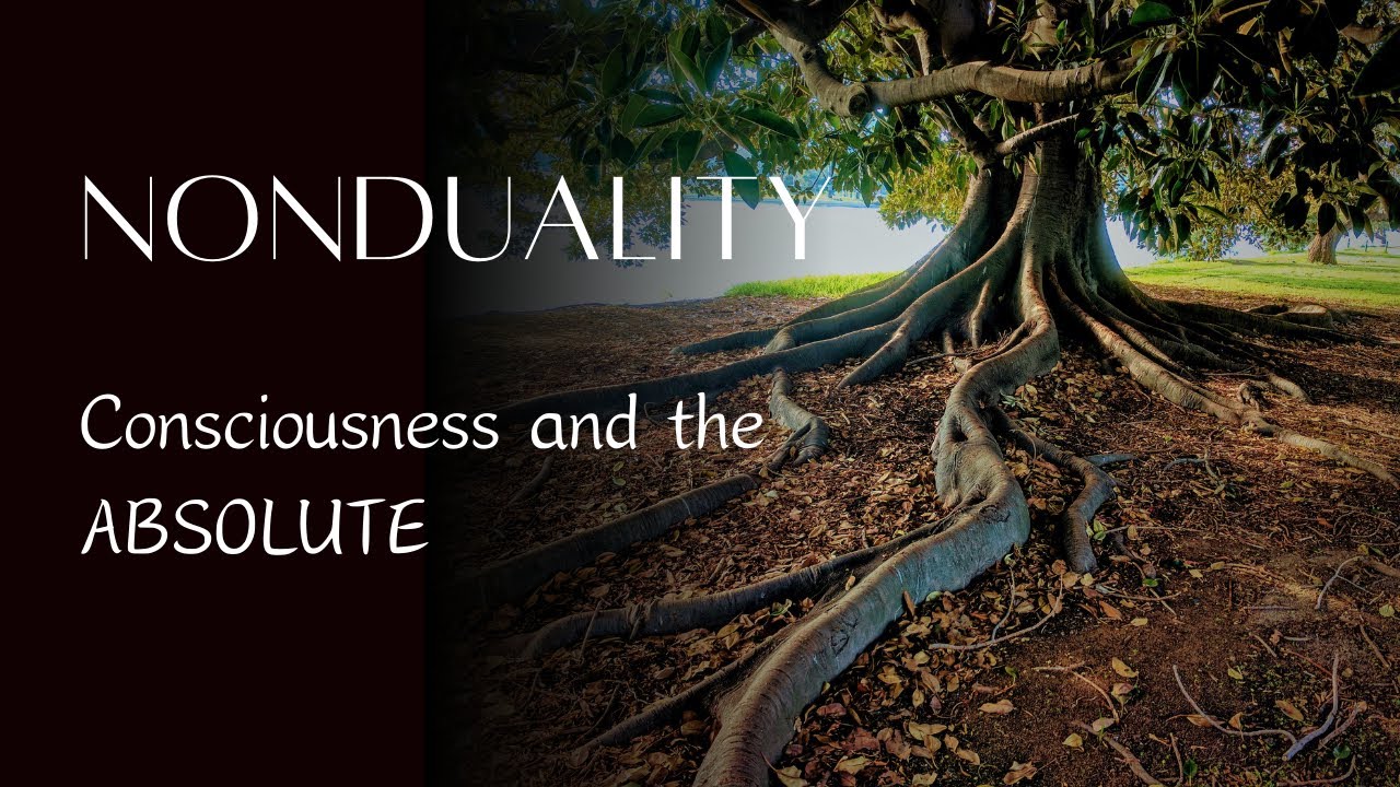 The subtle difference between Consciousness and Awareness