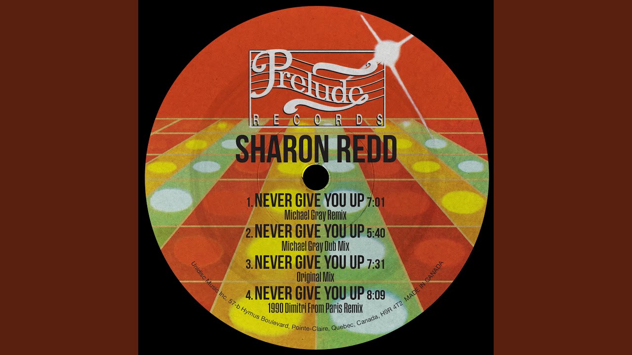 Never Give You Up (Michael Gray Remix)