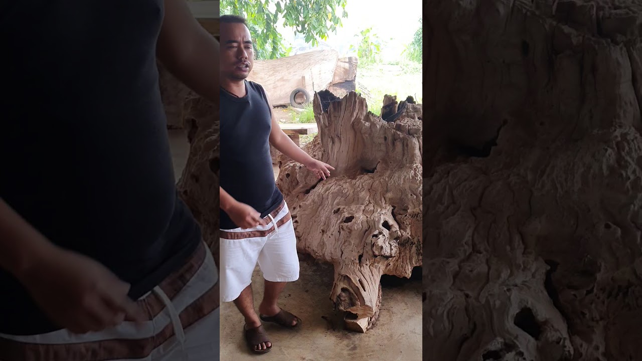 Gembol jati raksasa