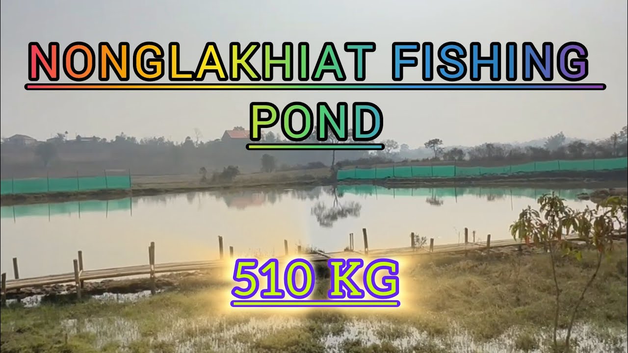 YN AI KHWAI HA KA PUNG NONGLAKHIAT FISHING POND. BAD LA DEP THEH DOHKHA THYMMAI 510KG.PH-88370 49717