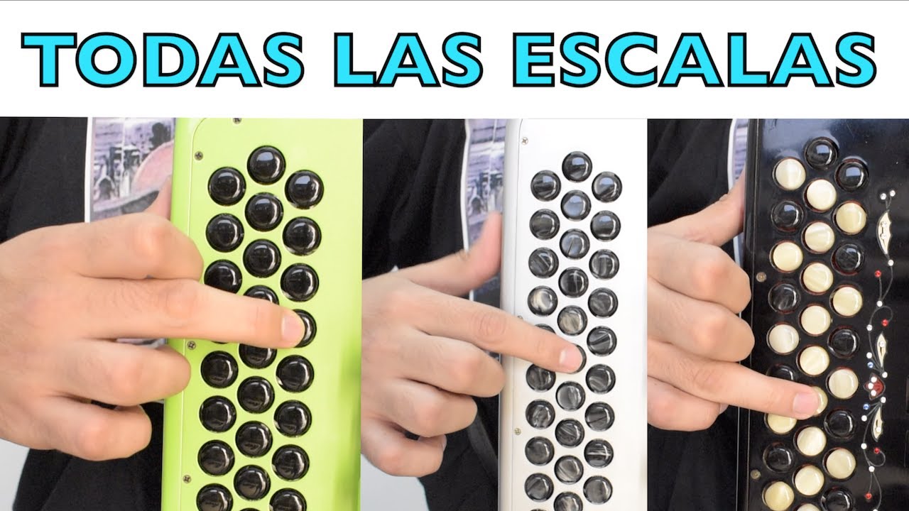 TODAS LAS ESCALAS‼️ Acordeones MI, Fa y SOL