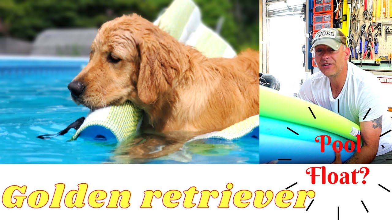 DIY Swimming Pool float (Bleus float ver2)