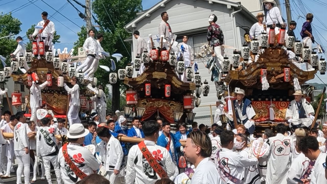 畑原　上野　五毛　宮出し～宮入　だんじり　神戸市灘区　2024年5月2日だんじり　神戸市東灘区　＃Shorts