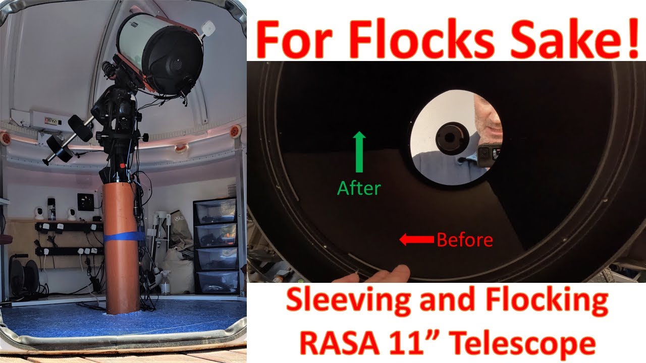 Rasa 11