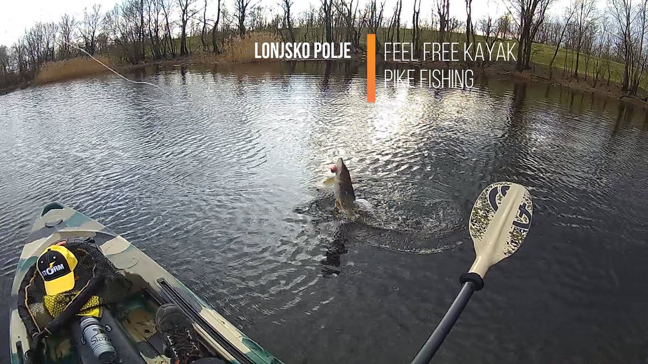 FEEL FREE CROATIA - PIKE FISHING CROATIA - LONJSKO POLJE