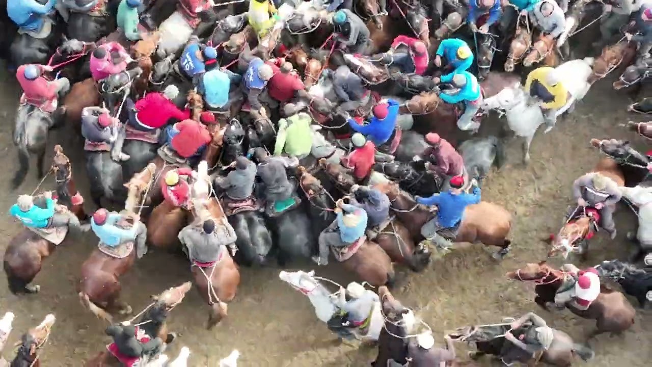 Ала Бука улак додонун додосу болду