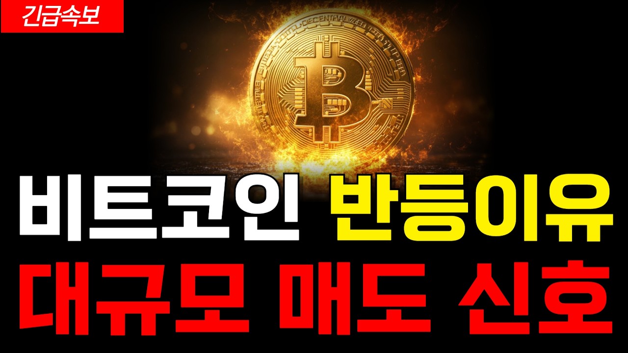 [비트코인 전망] 단기 폭등 신호탄? 고래, 개인 정 반대로 가고 있네요! 정말 중요한 구간입니다 #비트코인