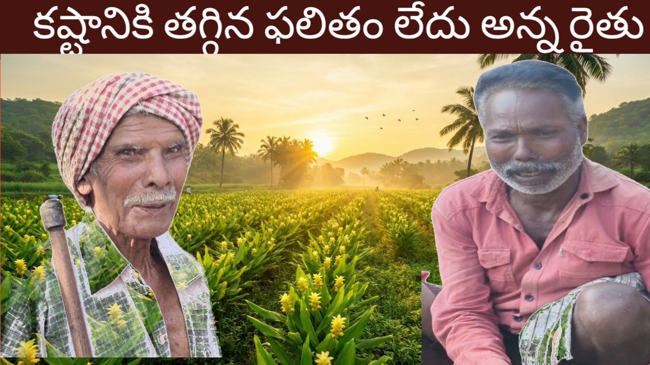 కష్టానికి తగ్గిన ఫలితం ఏది అన్న రైతు 