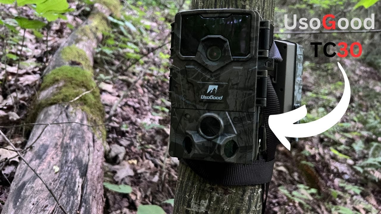 Камера наблюдения Usogood TC30 и место на камере наблюдения Bushnell