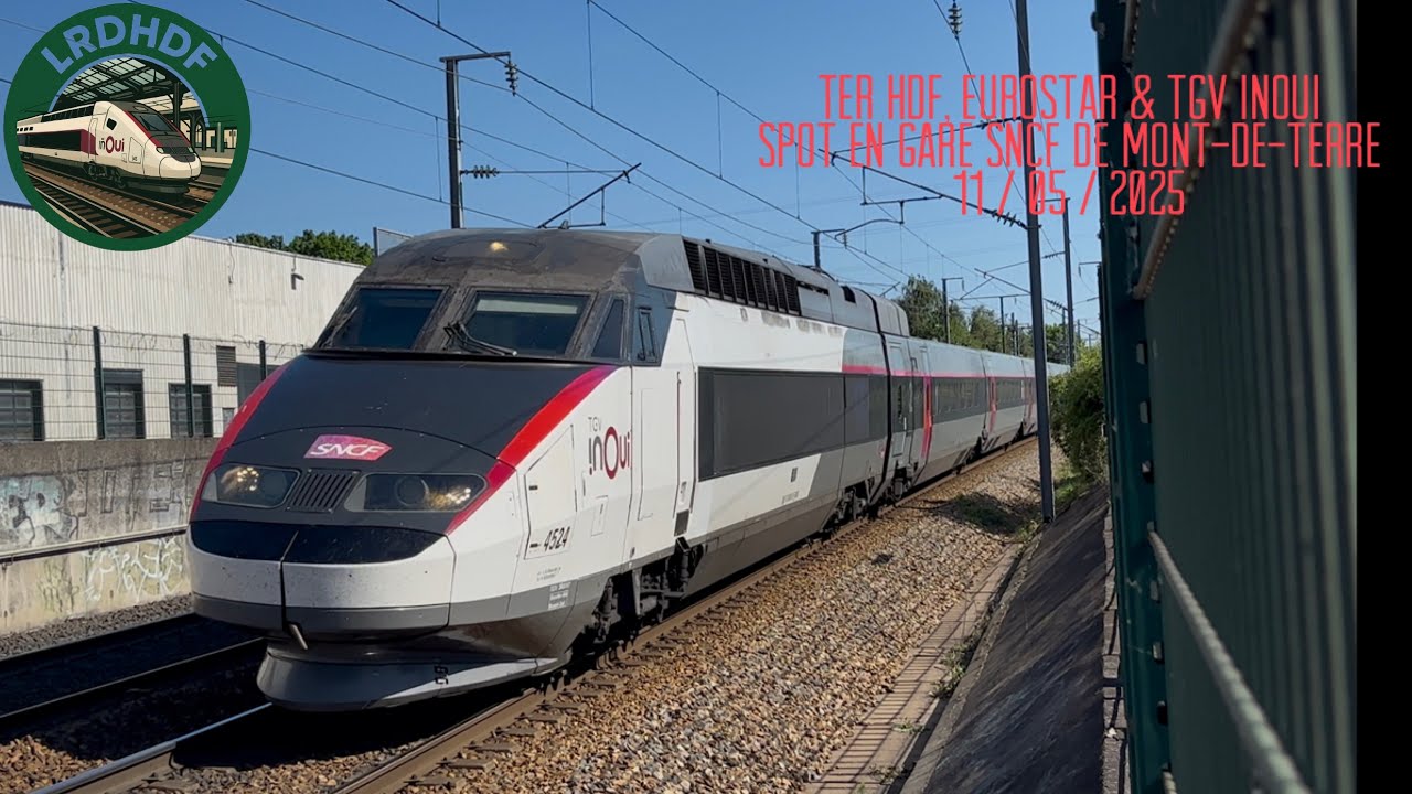 TER HDF, Eurostar & TGV inOui - Spot en gare SNCF de Mont-de-Terre le 11/05/2025