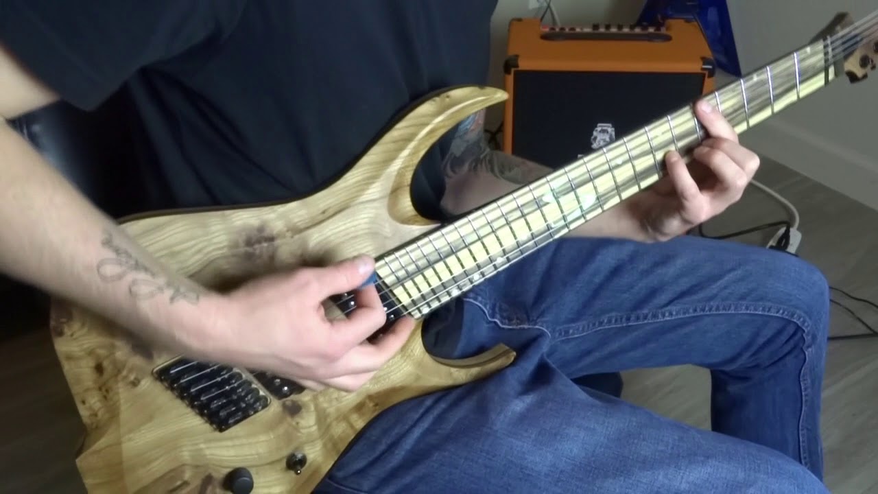 Vitalism - Yamí Obi Guitar Cover | Skervesen Chiroptera