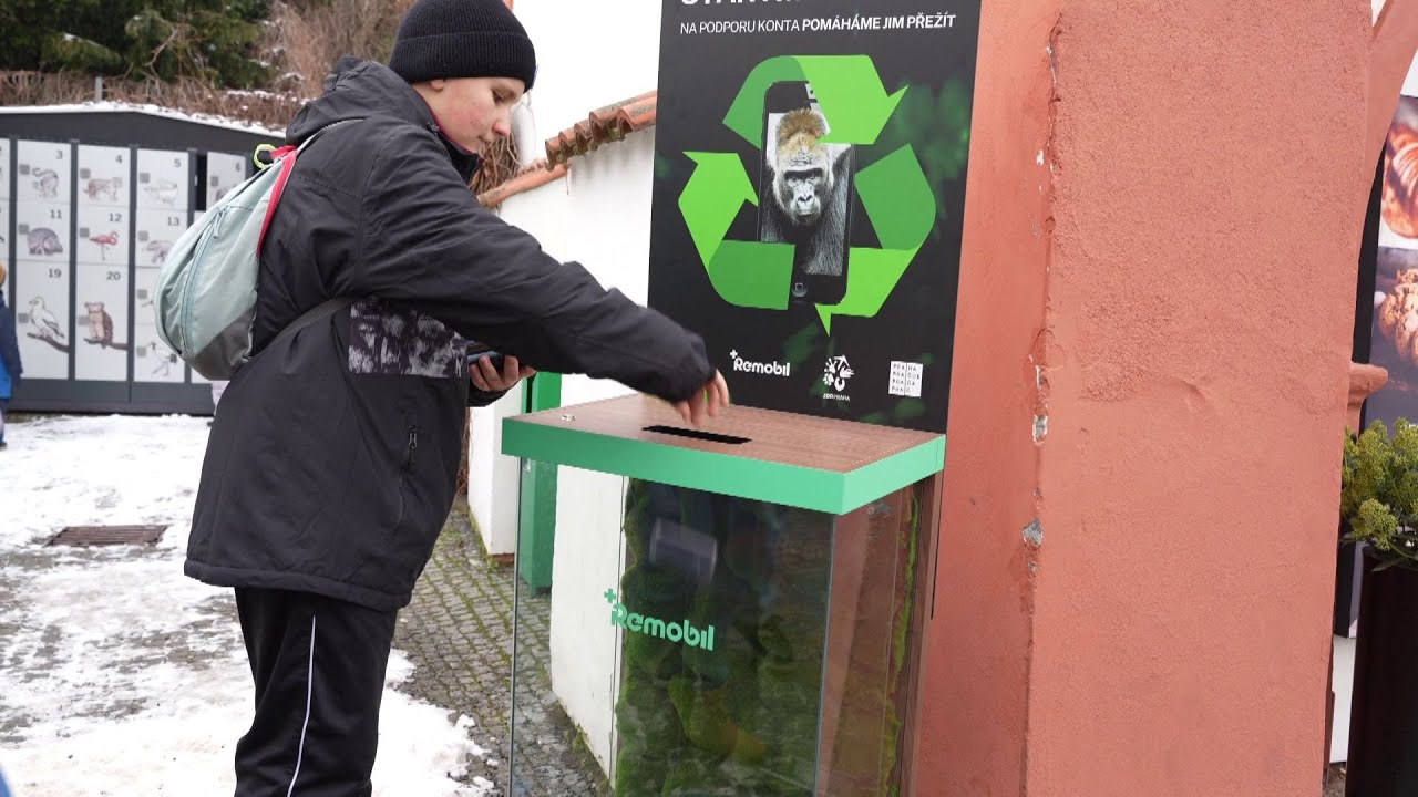 Speciální akce pro školáky: Staré telefony v Zoo Praha pomáhají pralesům