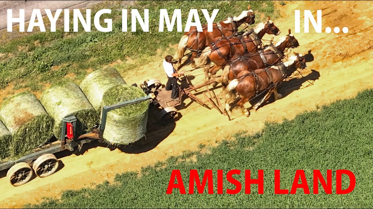 Making Hay in May in Lancaster County's AMISH LAND