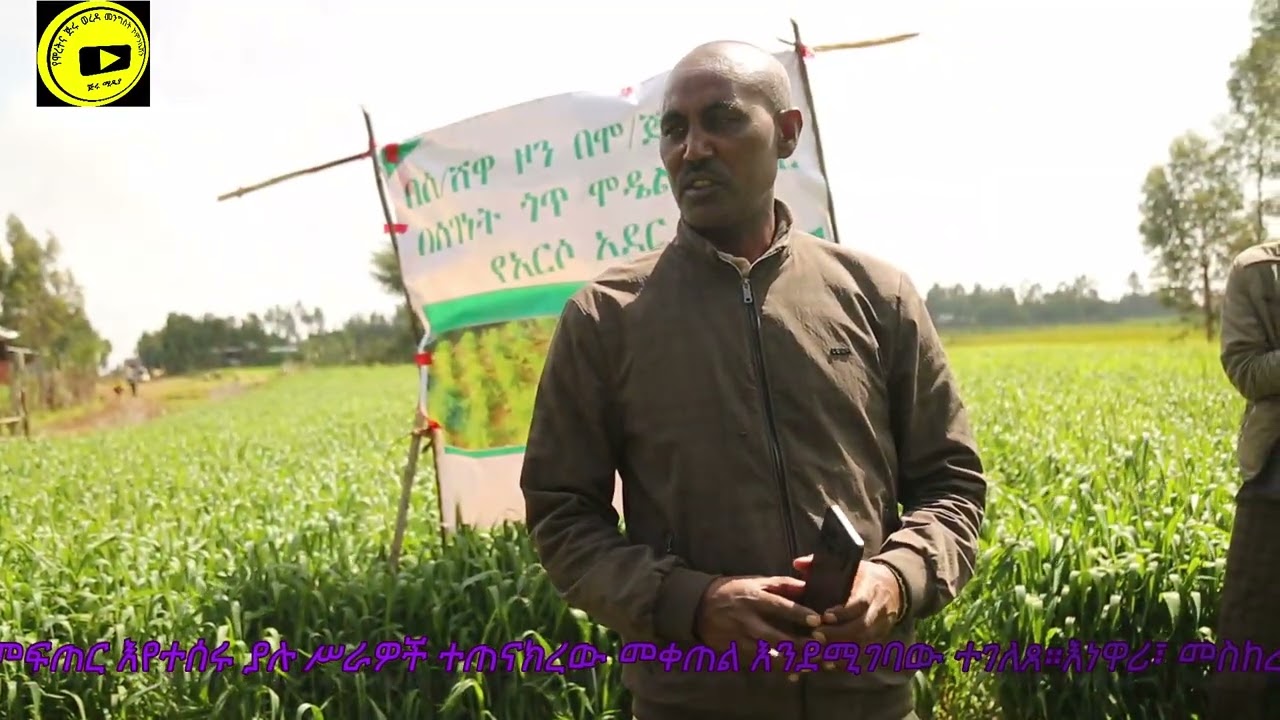 ምግብ ስርዓት ማጠናከሪያ ፕሮግራም የበጀት ድጋፍ በምግብ ራስን ለመቻልና ሞዴል መንደር ለመፍጠር እየተሰሩ ያሉ ሥራዎች