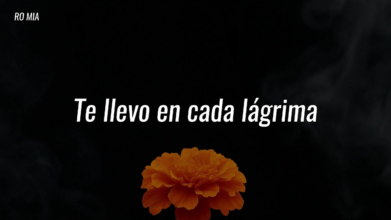 RO MIA - 'Te llevo en cada lágrima' (Letra)
