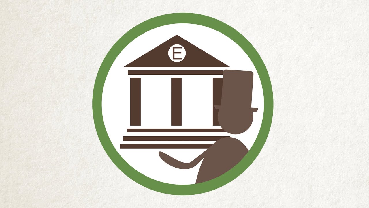 What is the Executive (Zimbabwe)?