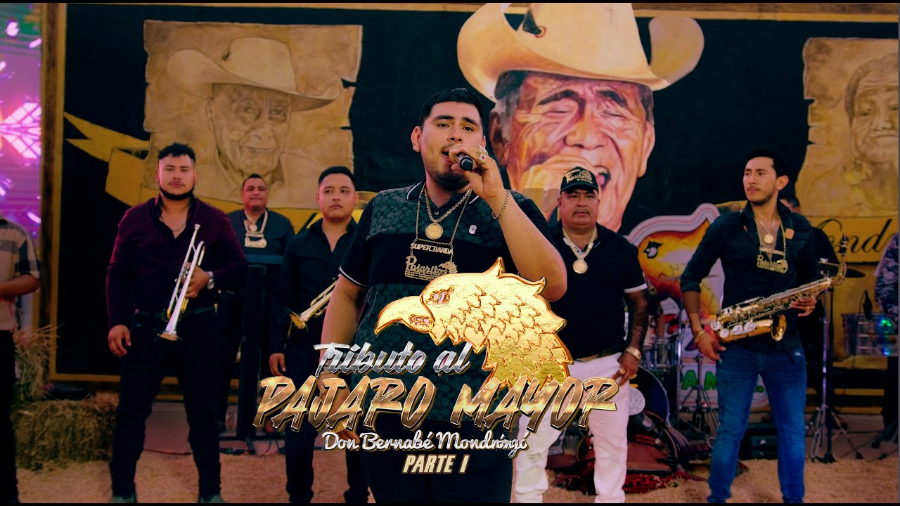 Los Pajaritos de Tacupa - Tributo Al Pajaro Mayor, Pte. 1 (2024)🔴