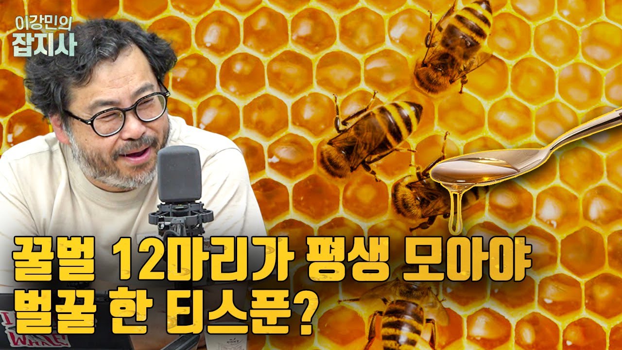 🐝 꿀벌은 곧 멸종한다? 꿀벌에 대해 당신이 몰랐던 놀라운 사실들