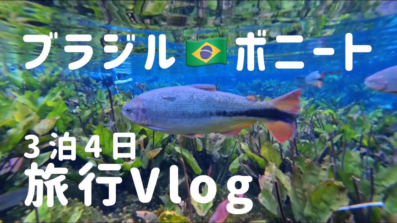 【ブラジル🇧🇷ボニート】3泊4日旅行Vlog/透明な川🐟と美しい自然🌿を大満喫！