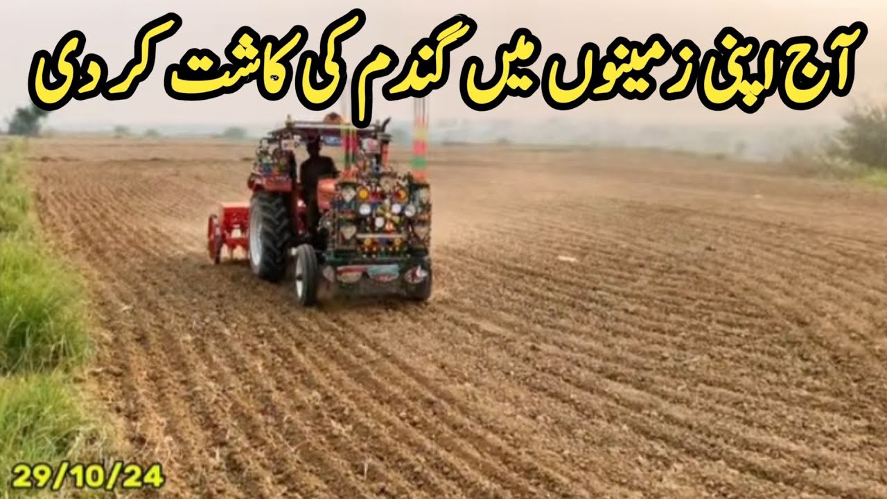 Apni Zameeno par Gandam kaasht kar di | Village Life Vlog