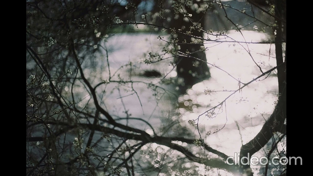 TK from 凛として時雨 - sound_am326 (from 「Killing you softly」 DVD BGM )