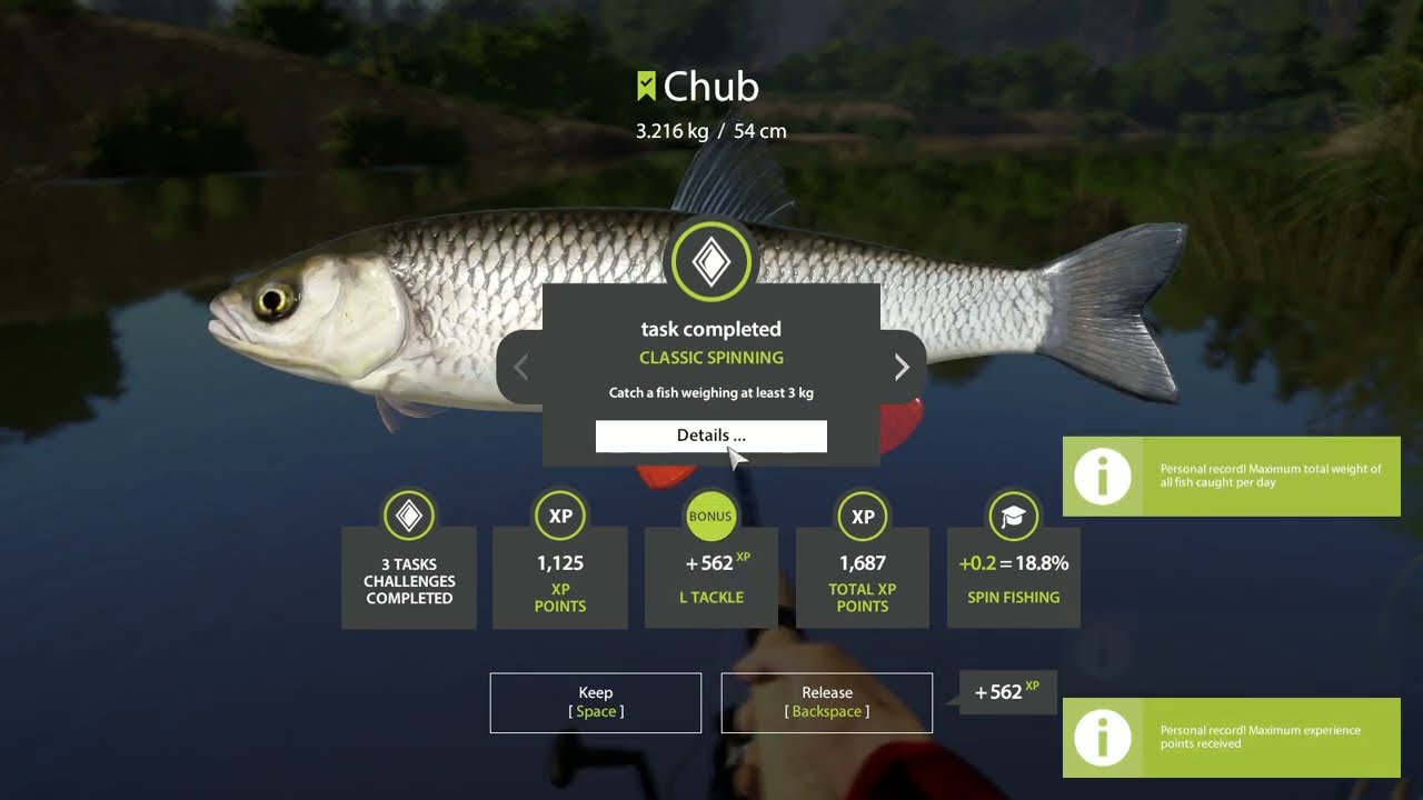 Russian Fishing 4   for fun