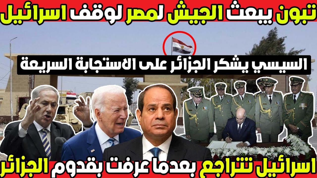 لن تصدقو كيف ردت الجزائر على مصر