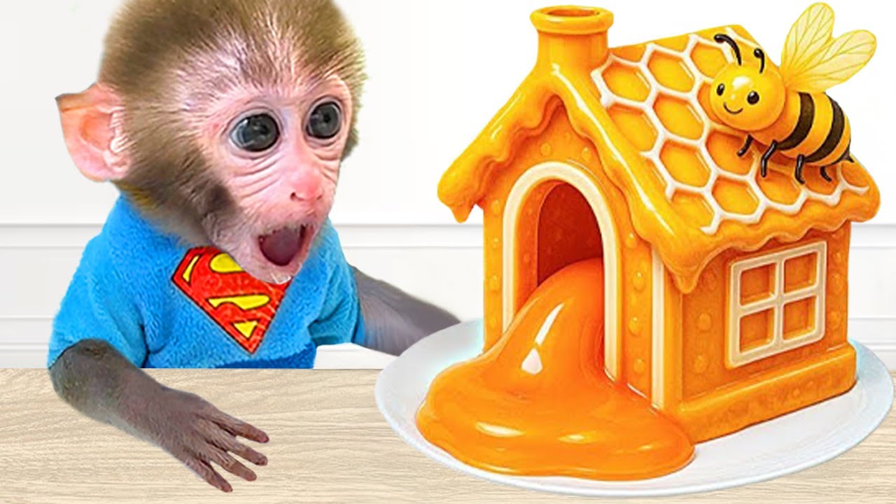 Monkey Baby Bon Bon with the Puppy Meet the Magical Wishing star and Make Wishes Together