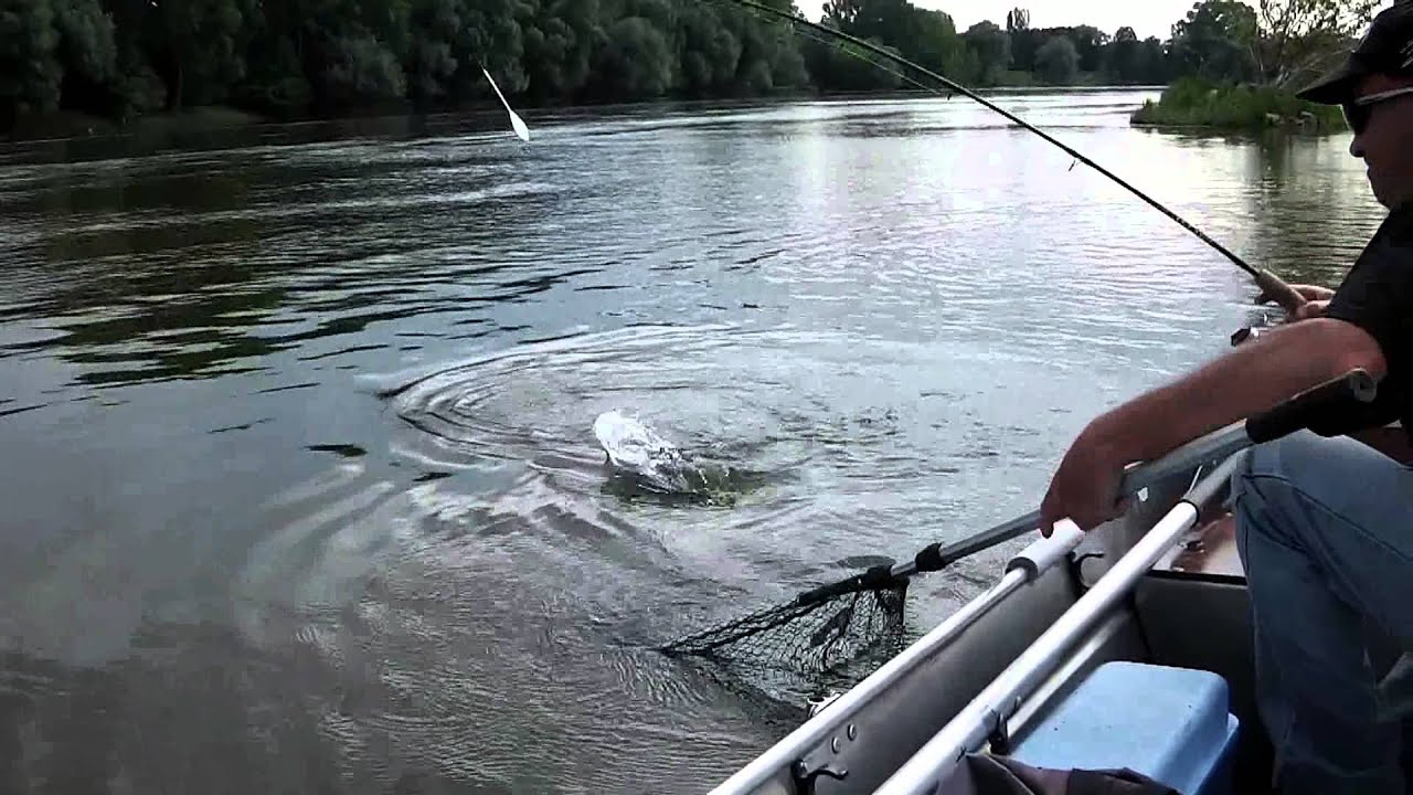 pêche du mulet de mer en Loire