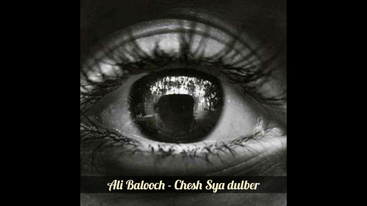 Chesh Sya Dulber