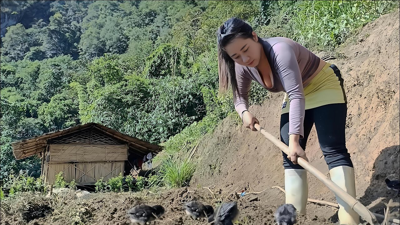 Fixing My Mountain Garden | Nora’s Off-Grid Life