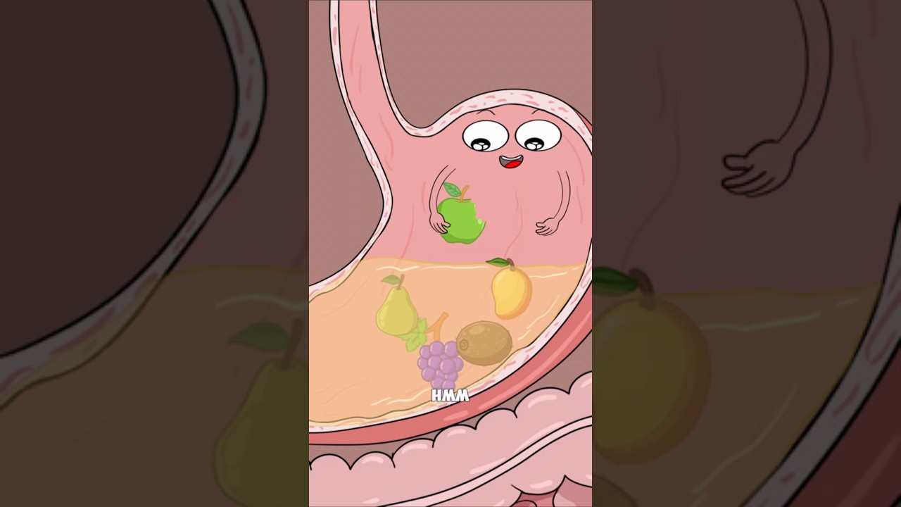 Why Eating Too Much Fiber Softens Your Stool?  #fuuny#cartoon#hot