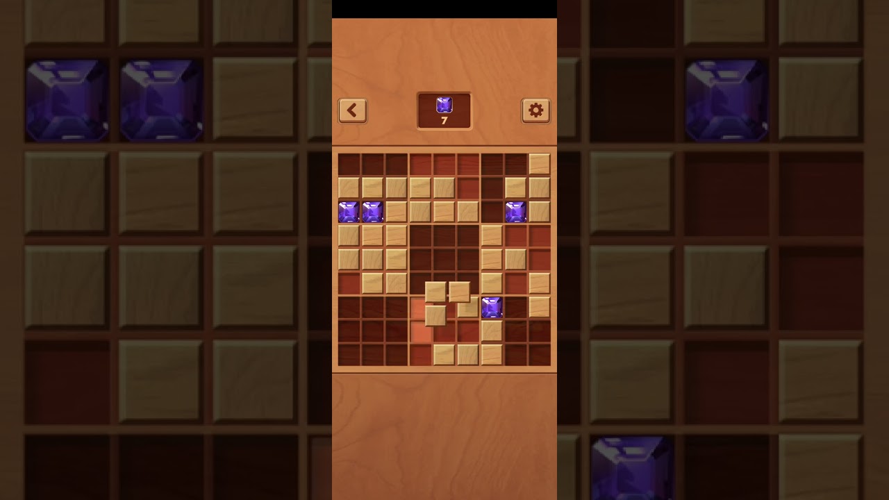 woodoku 2-4-23